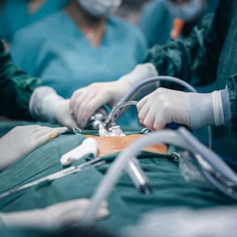 pexels-photo-11748826-1