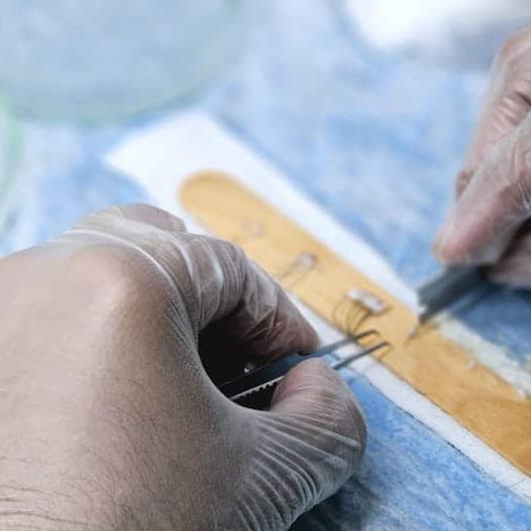 pexels-photo-27138343-6